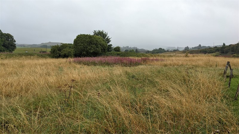 Nithsdale Wanderers Crawick Holm pitch in 2022