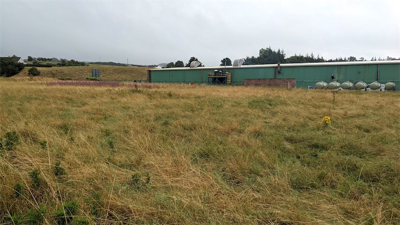 View looking southeast towards the 'centre spot' of the Crawick Holm 'pitch' with light industrial unit in background