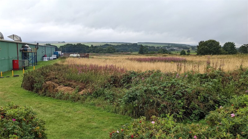 View of the Crawick Holm 'pitch' from the side of the A76